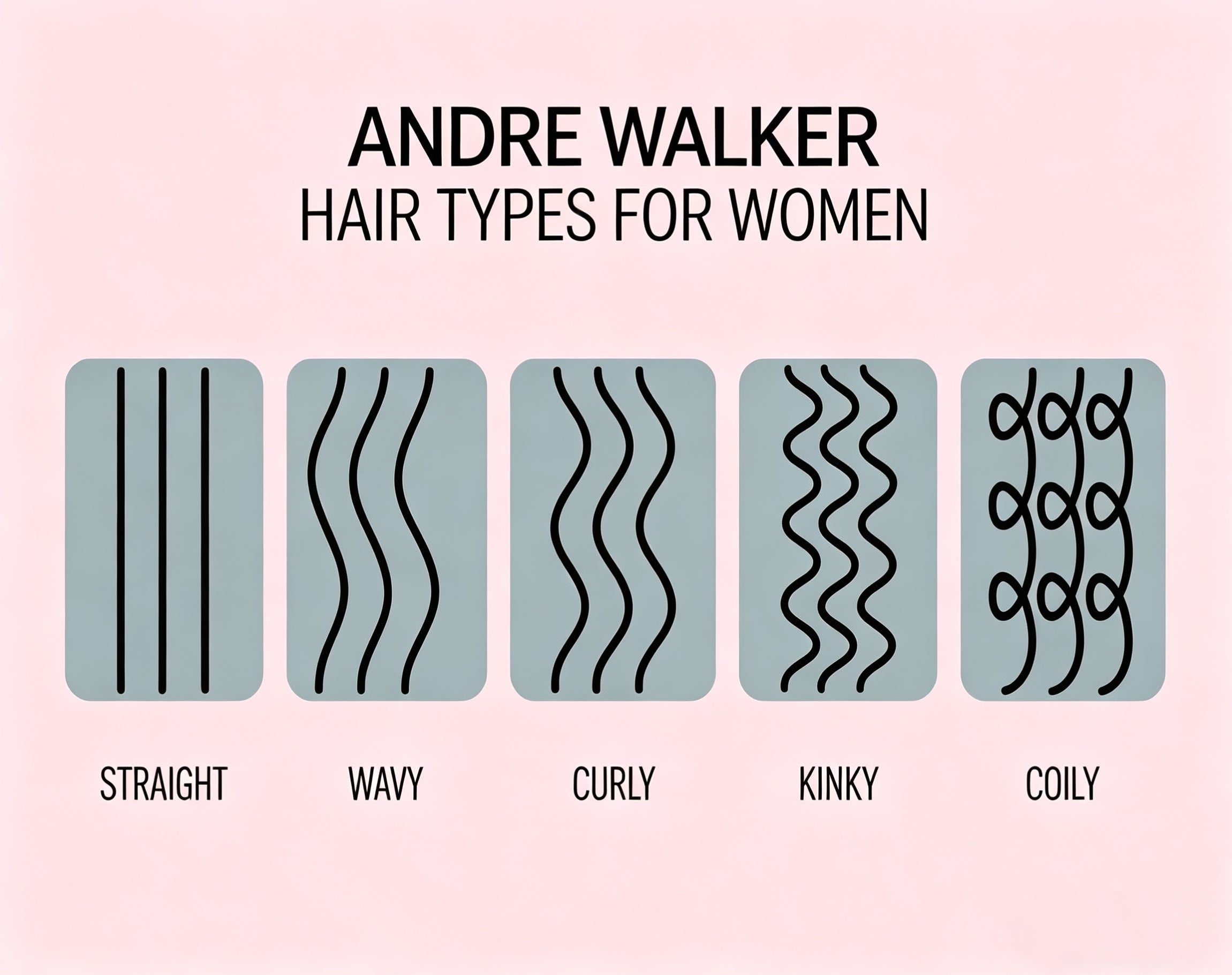 Andre Walker Hair Typing System The Global Standard for Every America